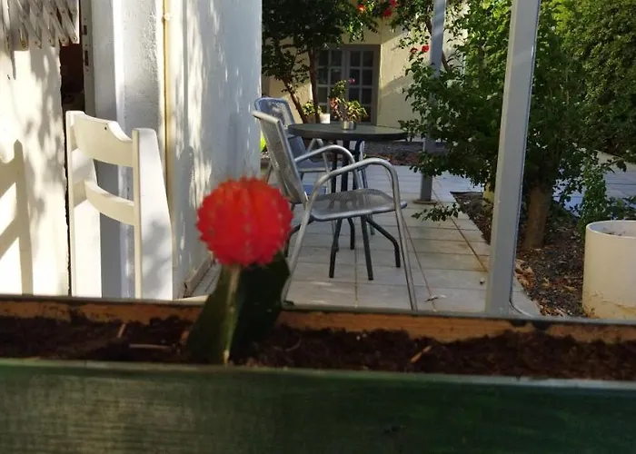 Cleo Room With Yard In Malia 250M From The Beach