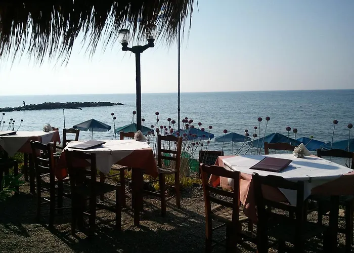 Angelica Studios And Apartments Agia Marina