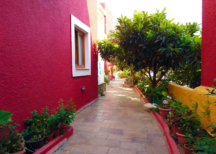 Katerini Apartments Hotel Platanias