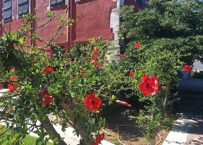 Oasis Guesthouse La Canea che accetta animali